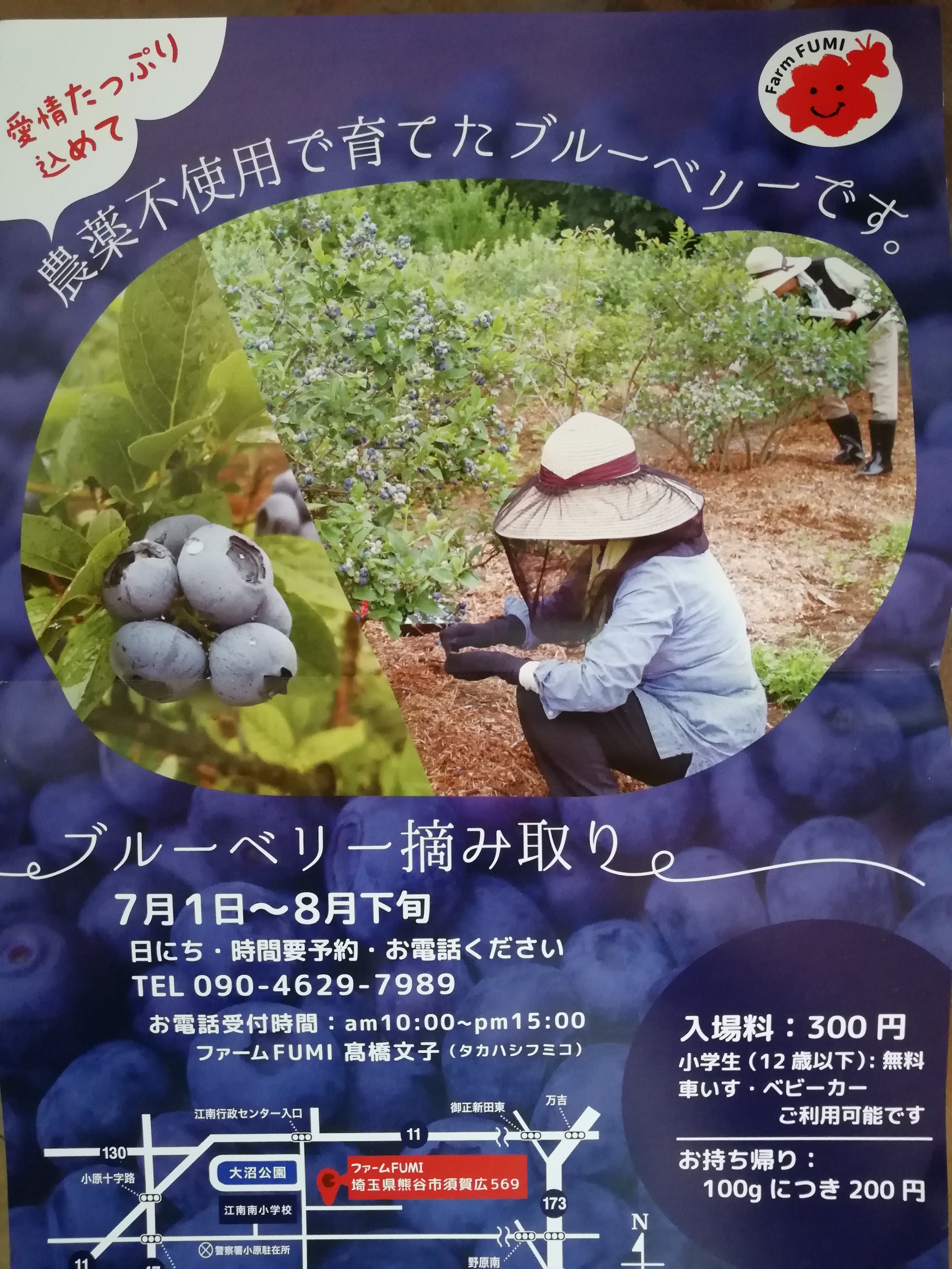 フライヤー フライヤー