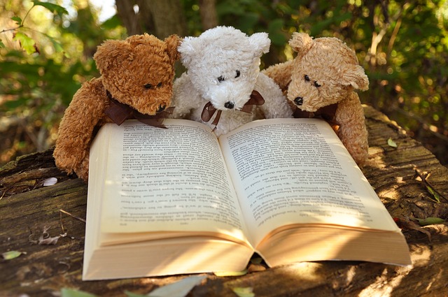 teddy teddy