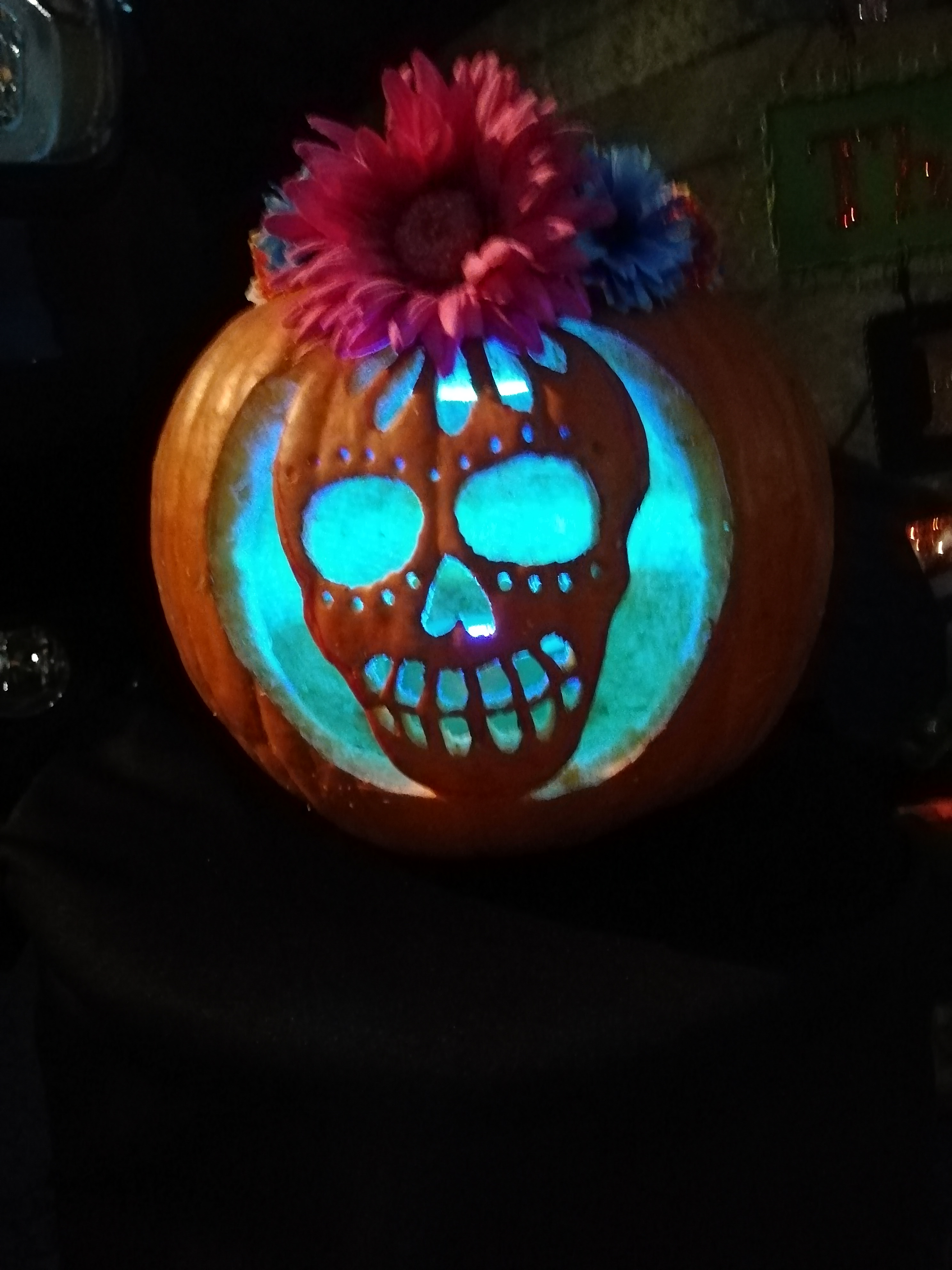 pumpkin pumpkin