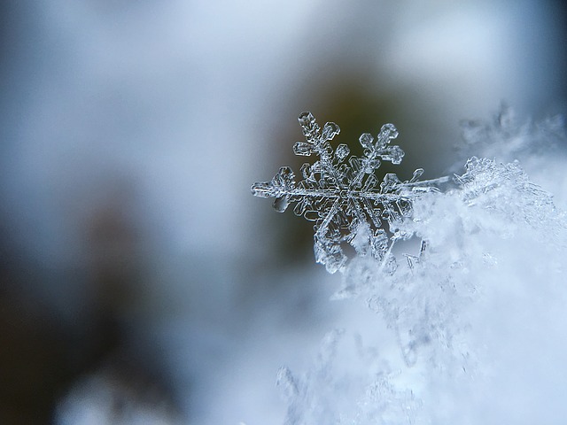 snow flake snow flake
