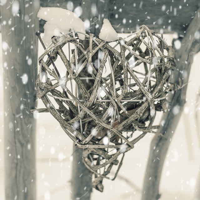snow heart snow heart