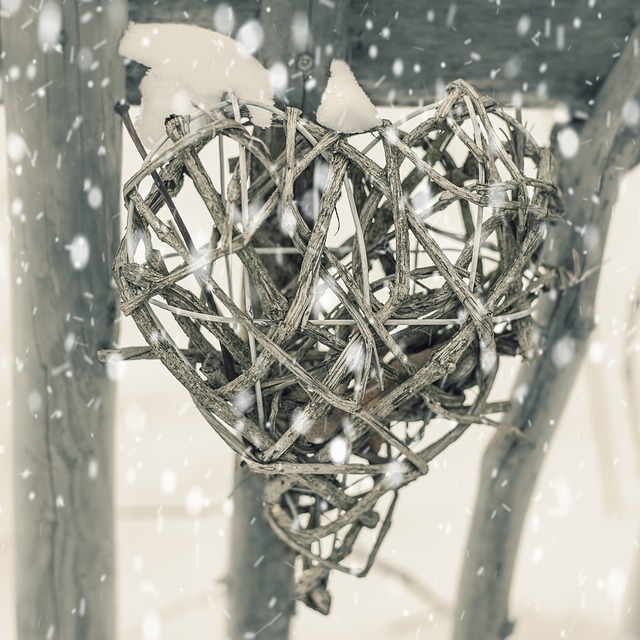 snow heart