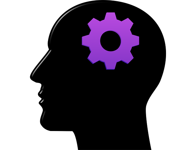 brain brain