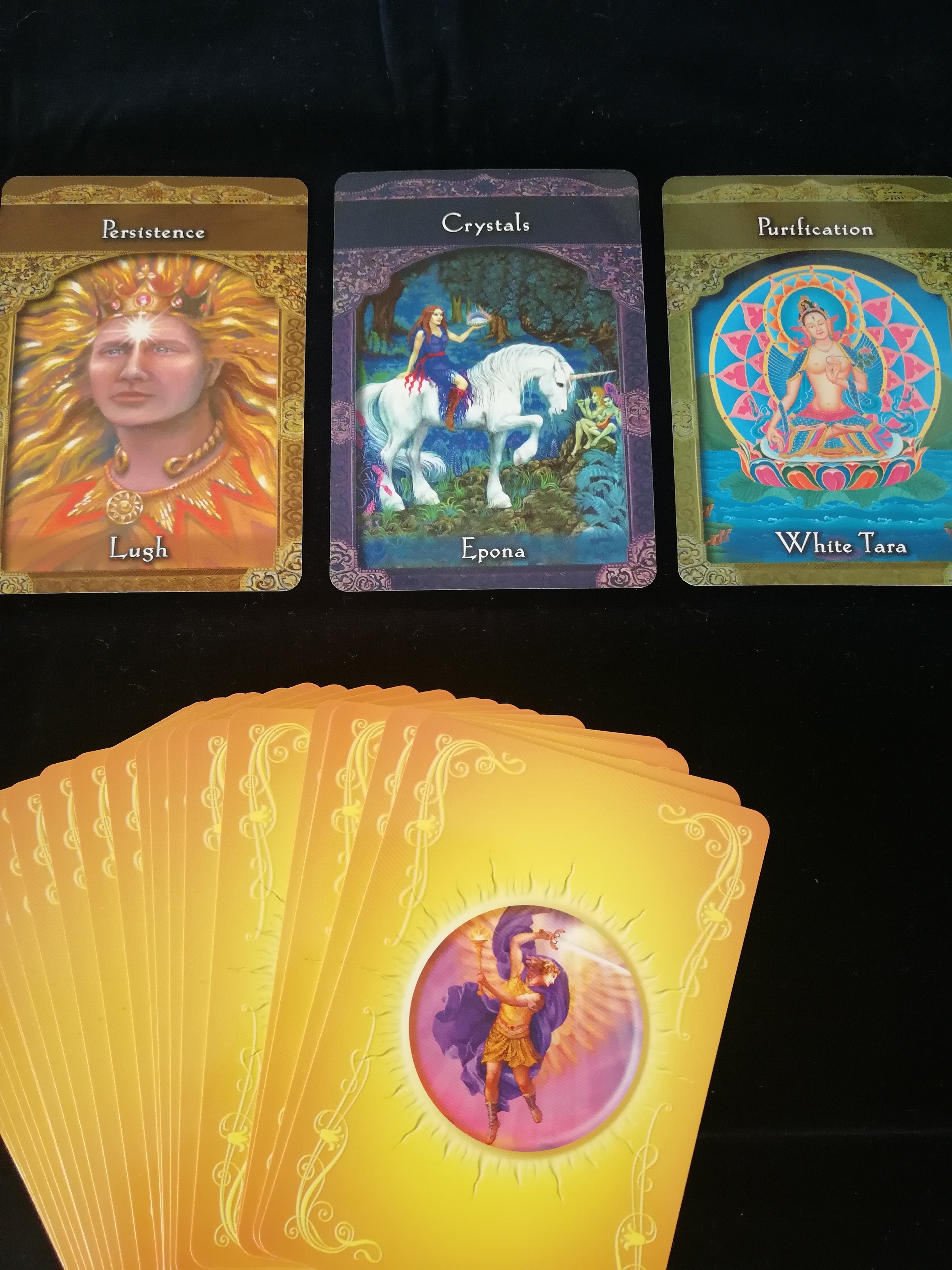 card card