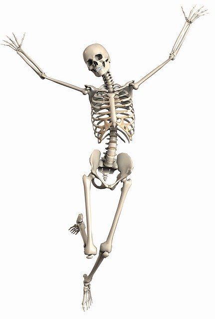 skeleton skeleton