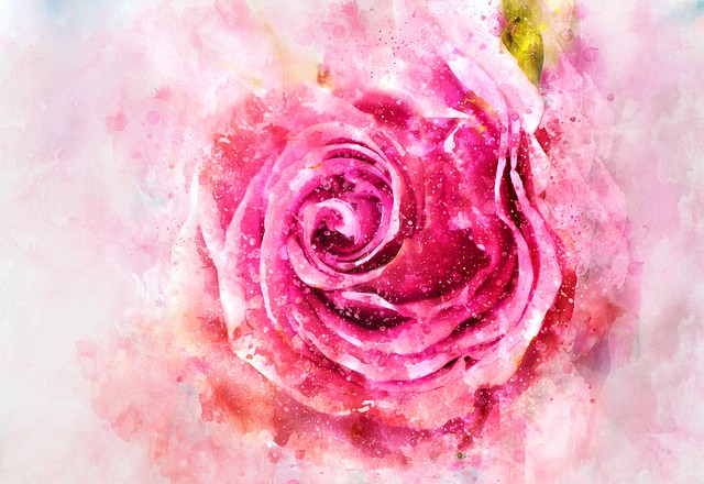 rose