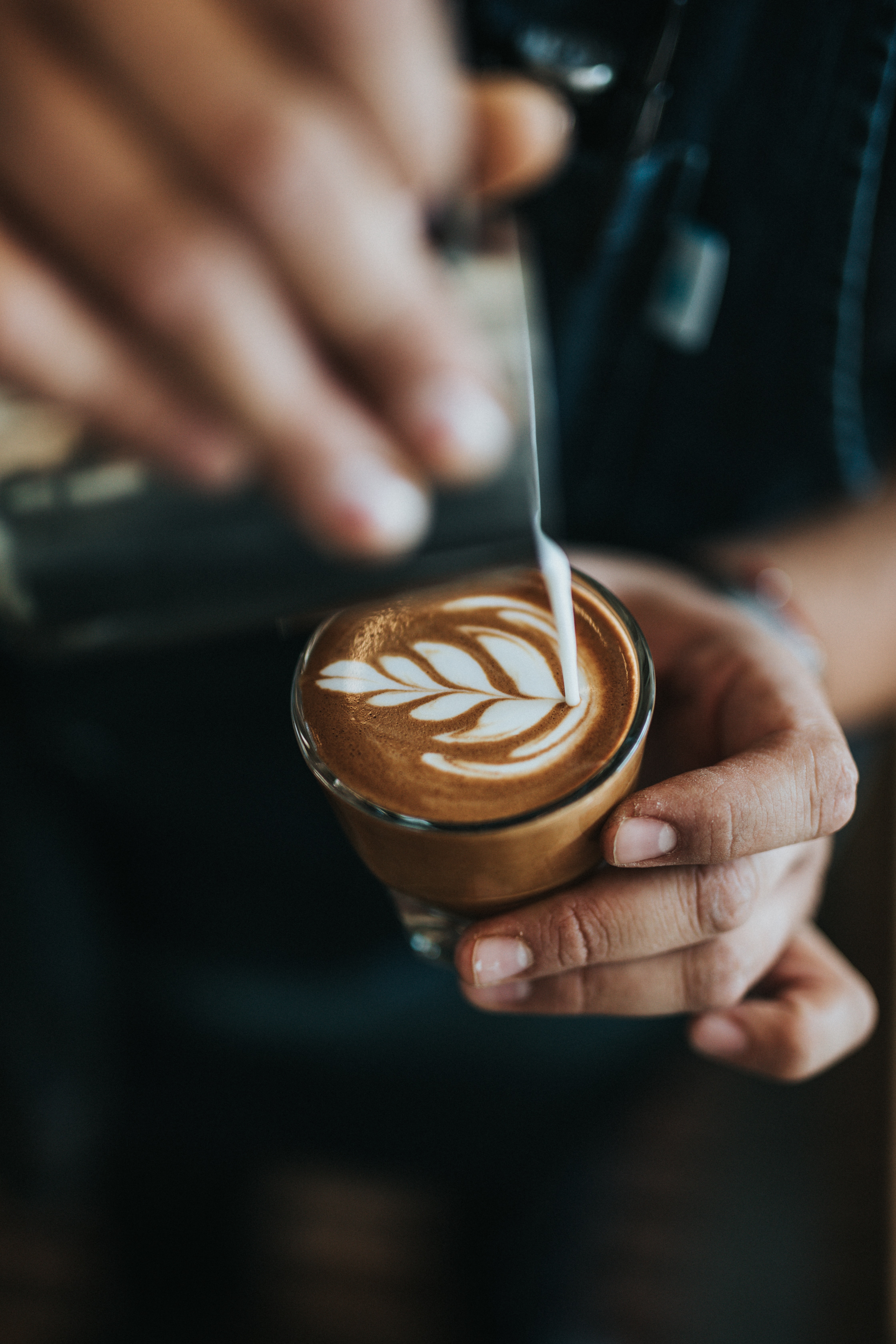 latte latte