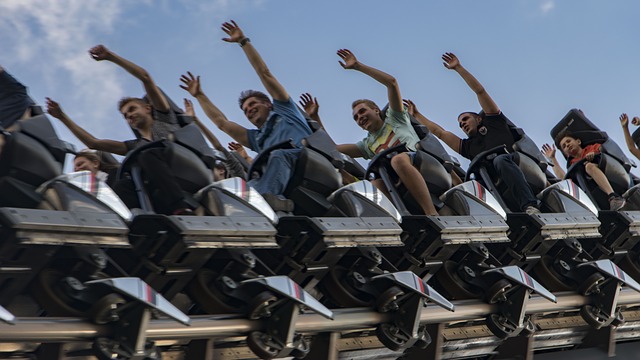 roller coaster roller coaster