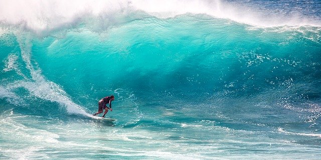 surfing surfing