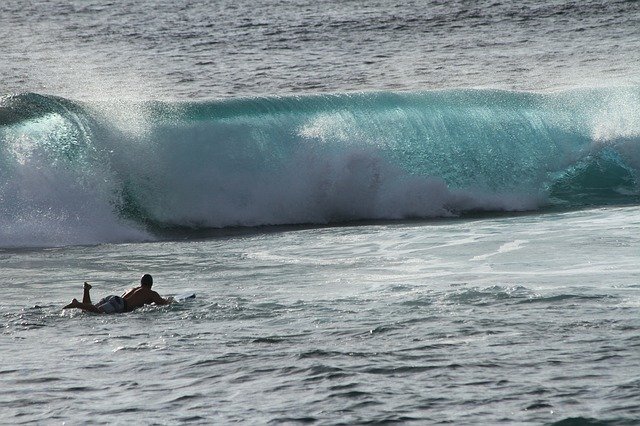 wave wave