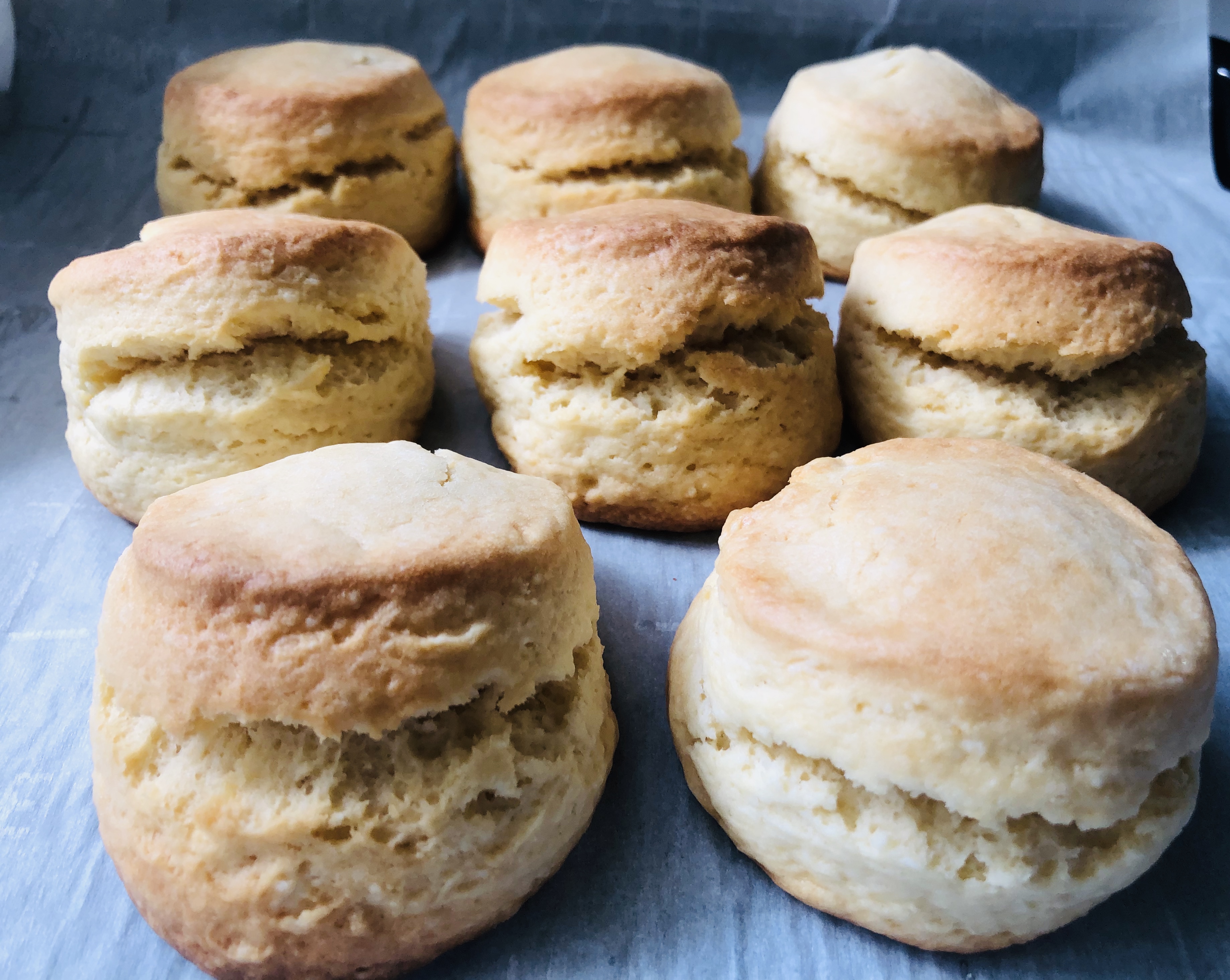 scone scone