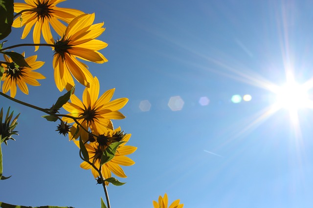 sunlight sunlight