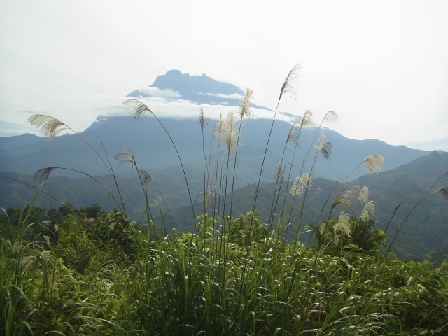 kinabalu