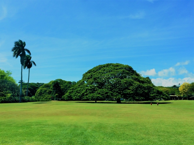 moanalua