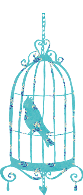 birdcage