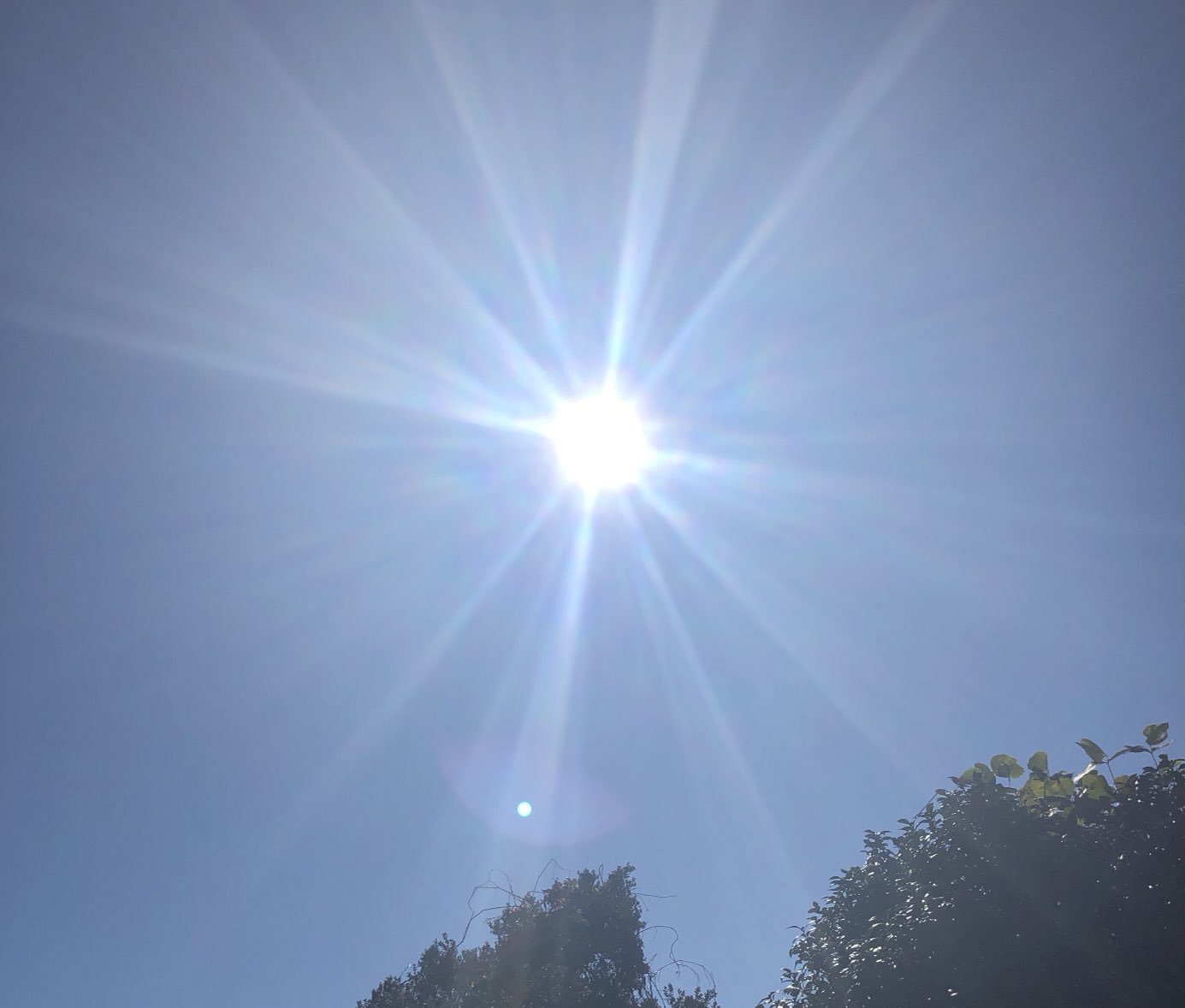 sun