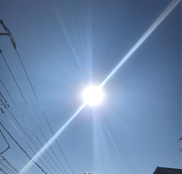 sunny sunny
