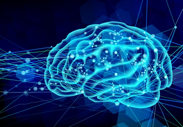 brain brain