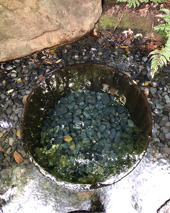 浄化4 浄化4