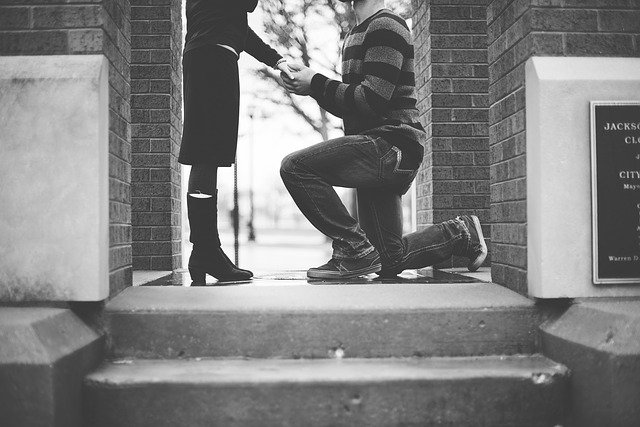 propose propose