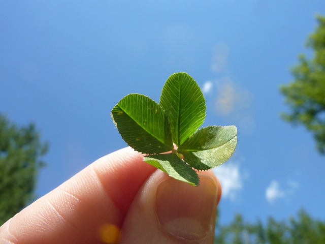 luck luck