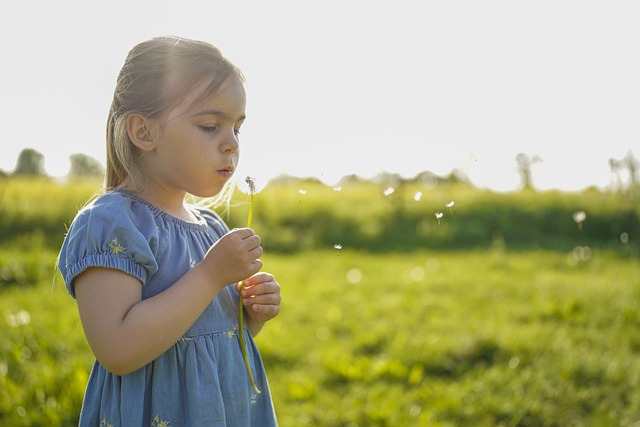 dandelion