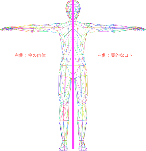 身体 身体