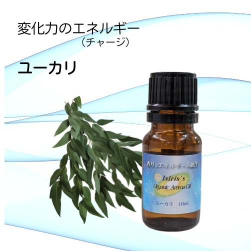 変化力 変化力