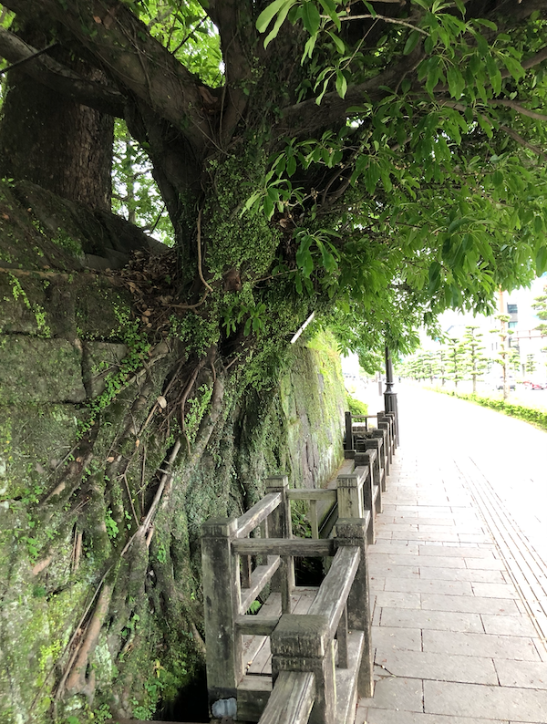 tree2 tree2