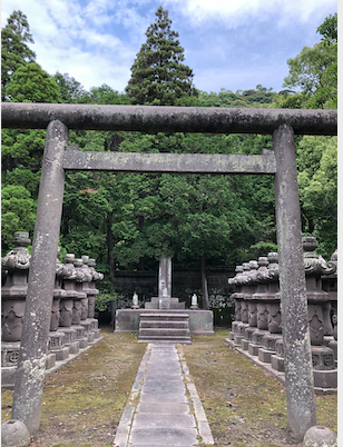 島津 島津