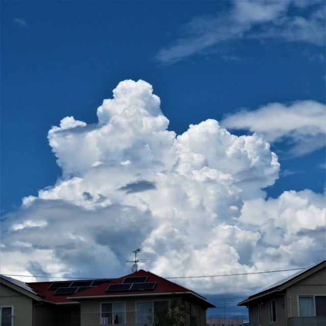 雲 雲