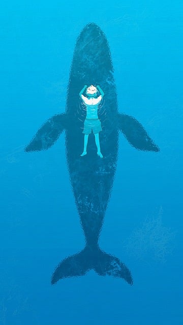 クジラ クジラ