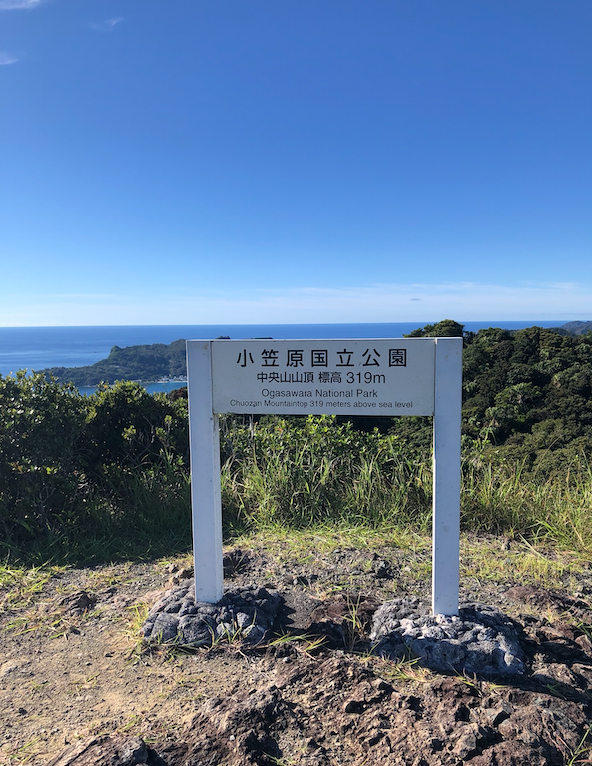 父11 父11