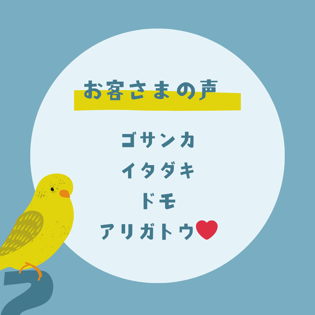 6月tent 6月tent