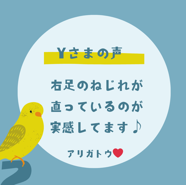 お客さまの声 y2 お客さまの声 y2
