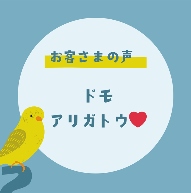 ども ども