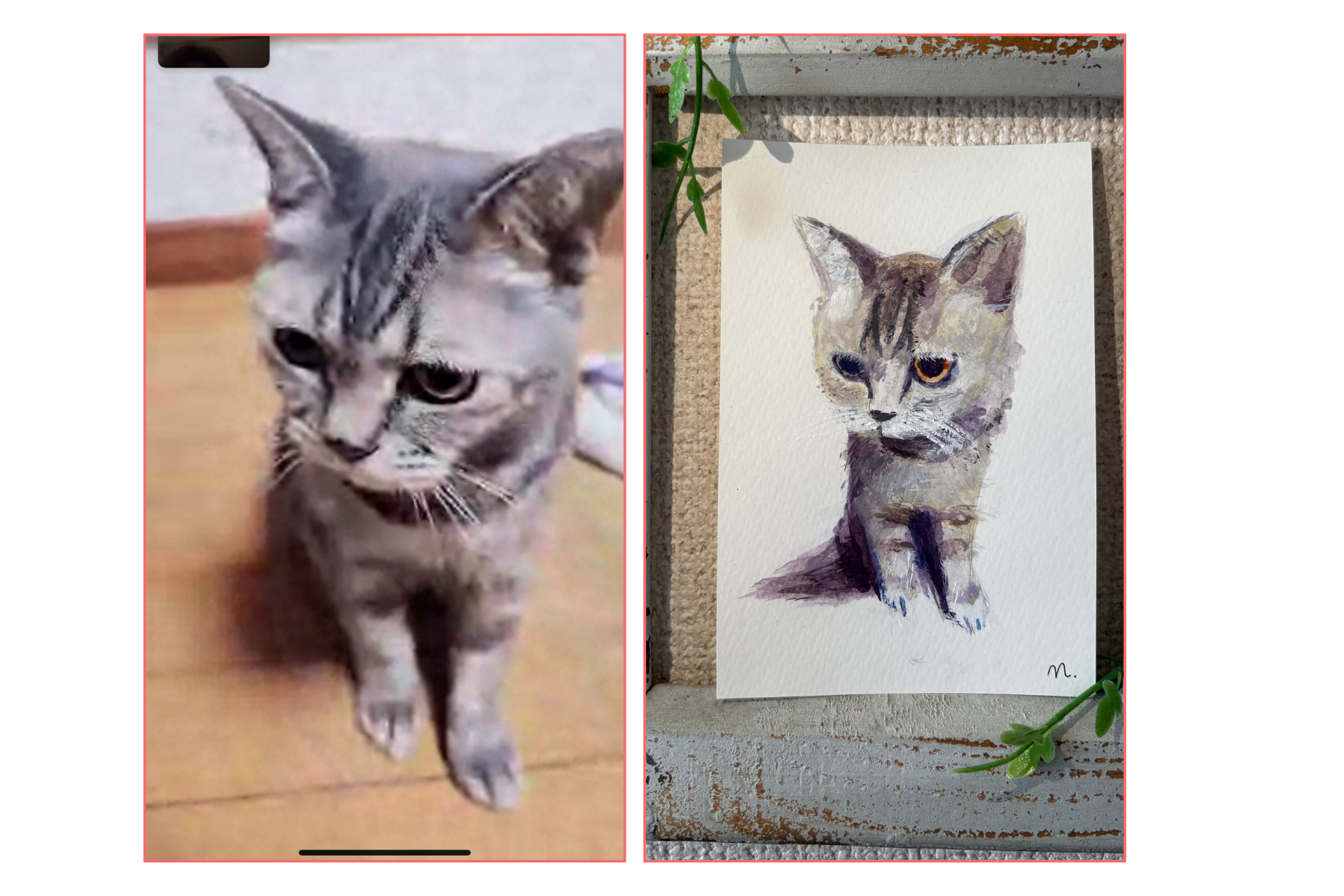 cat