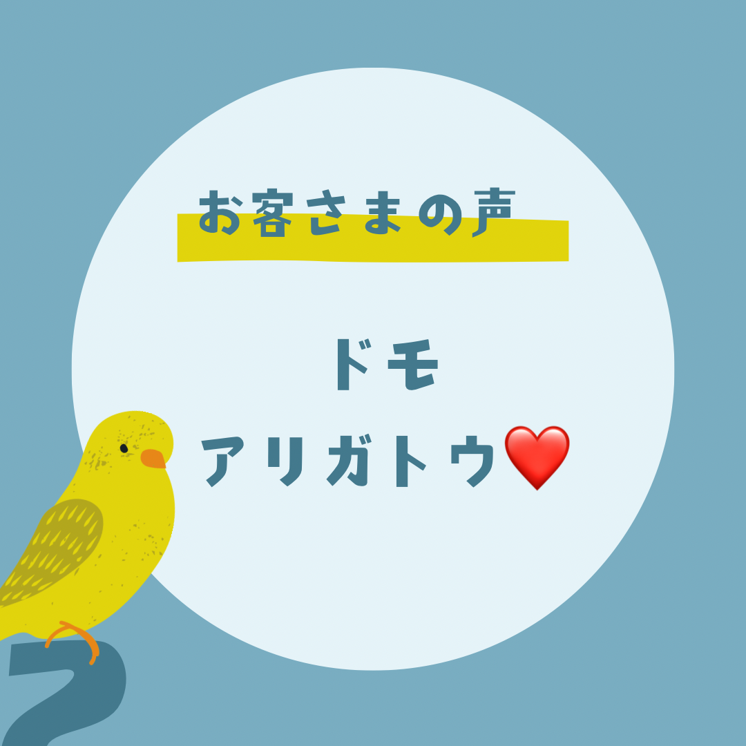 ���q�l�̐�