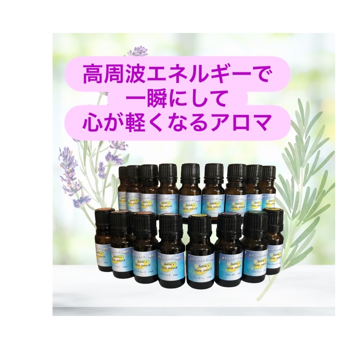 �C�V���X�����g�G�l���M�[�`���[�W�A���}